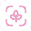 壁纸大全与制作手机软件app