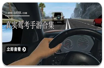 真实驾考手游合集