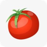 西红柿小说免费版手机软件app