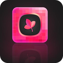 美妆滤镜相机手机软件app