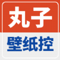 丸子壁纸控手机软件app