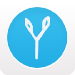 简单学习手机软件app