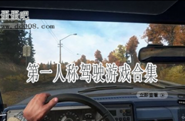 第一人称驾驶游戏合集