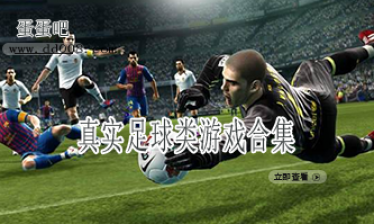真实足球类游戏合集