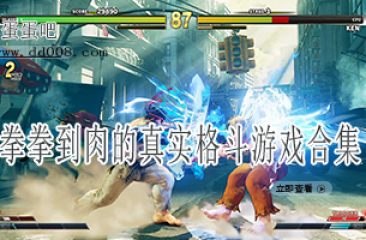 拳拳到肉的真实格斗游戏合集
