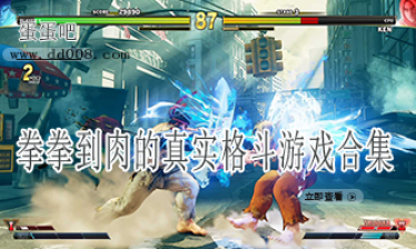 拳拳到肉的真实格斗游戏合集