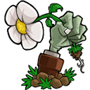 植物大战僵尸lz重制版手游app