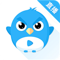 小鹰直播电视版手机软件app