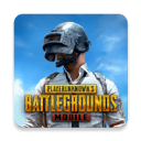 pubg国际版手游app