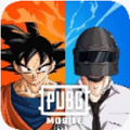 PUBG广角助手手机软件app