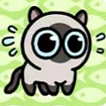 冒险猫手游app