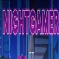 night gamer手游app