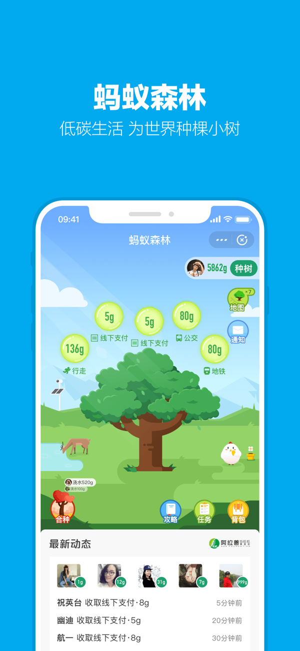 支付宝截图