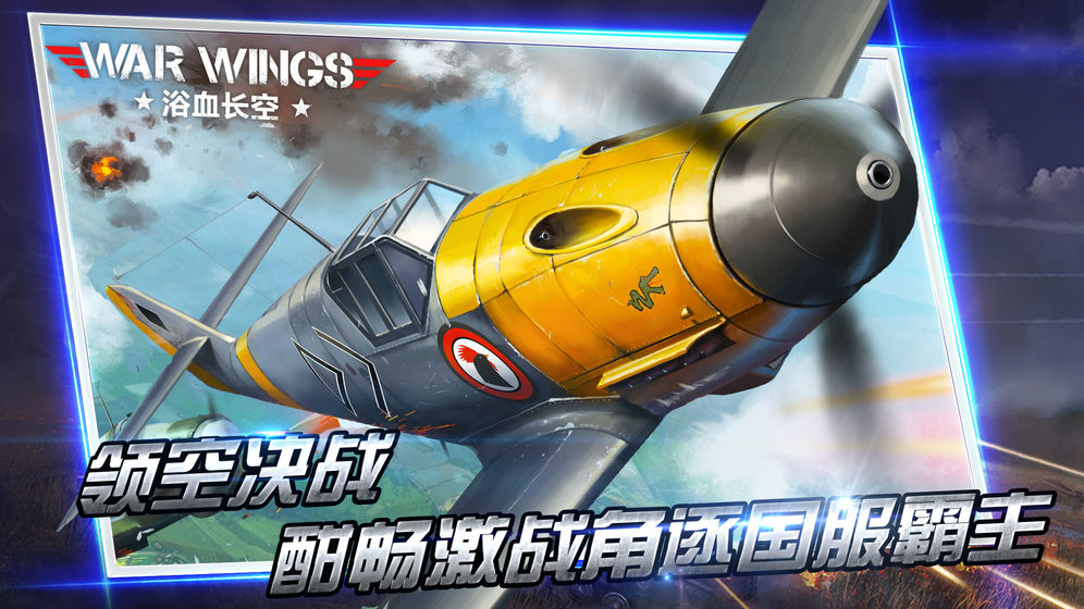 浴血长空截图