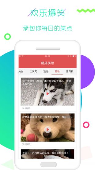蘑菇视频截图