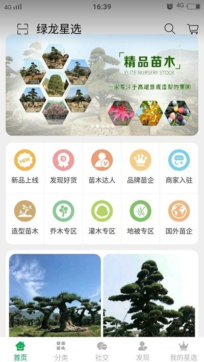 重点林木截图