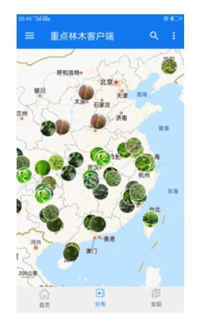 重点林木截图