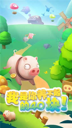 我的肉40块截图