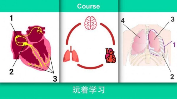 现实医疗模拟器截图