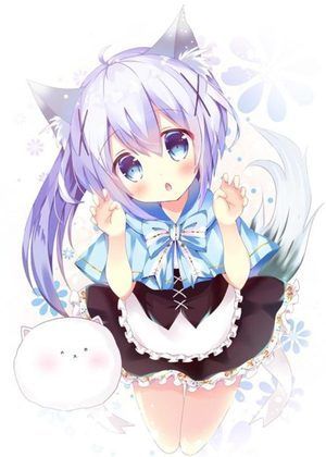 PicACG免登录和谐版截图