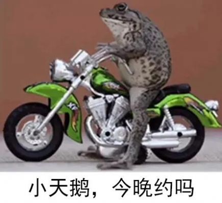 抖音癞蛤蟆小天鹅给个机会表情包截图