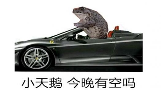 抖音癞蛤蟆小天鹅给个机会表情包截图