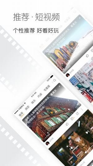 百灵鸟视频截图