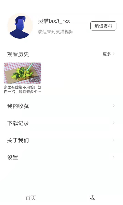 灵猫视频截图