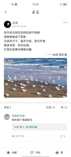 轻读小说截图