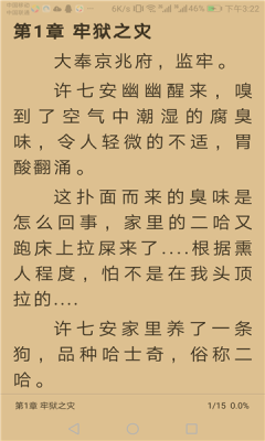 龙眼小说截图