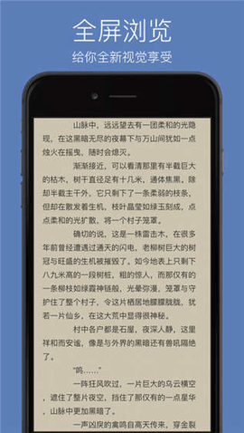 优雅浏览器截图