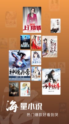 洋葱小说截图