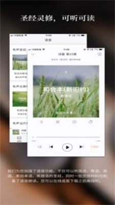 起飞小说截图