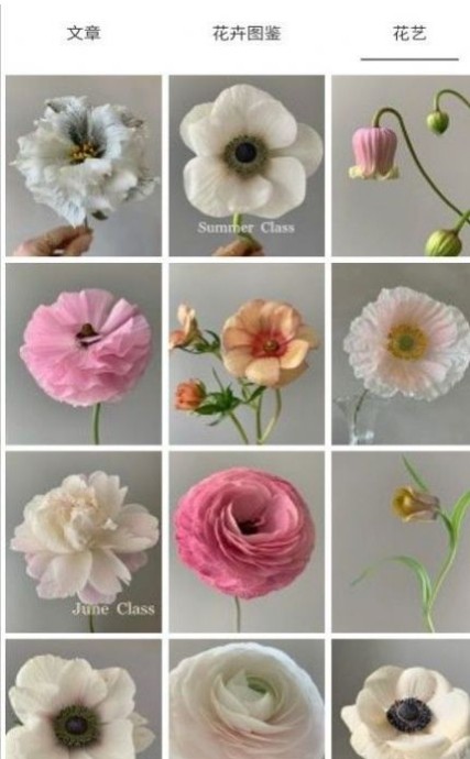 鲜花知识星球截图
