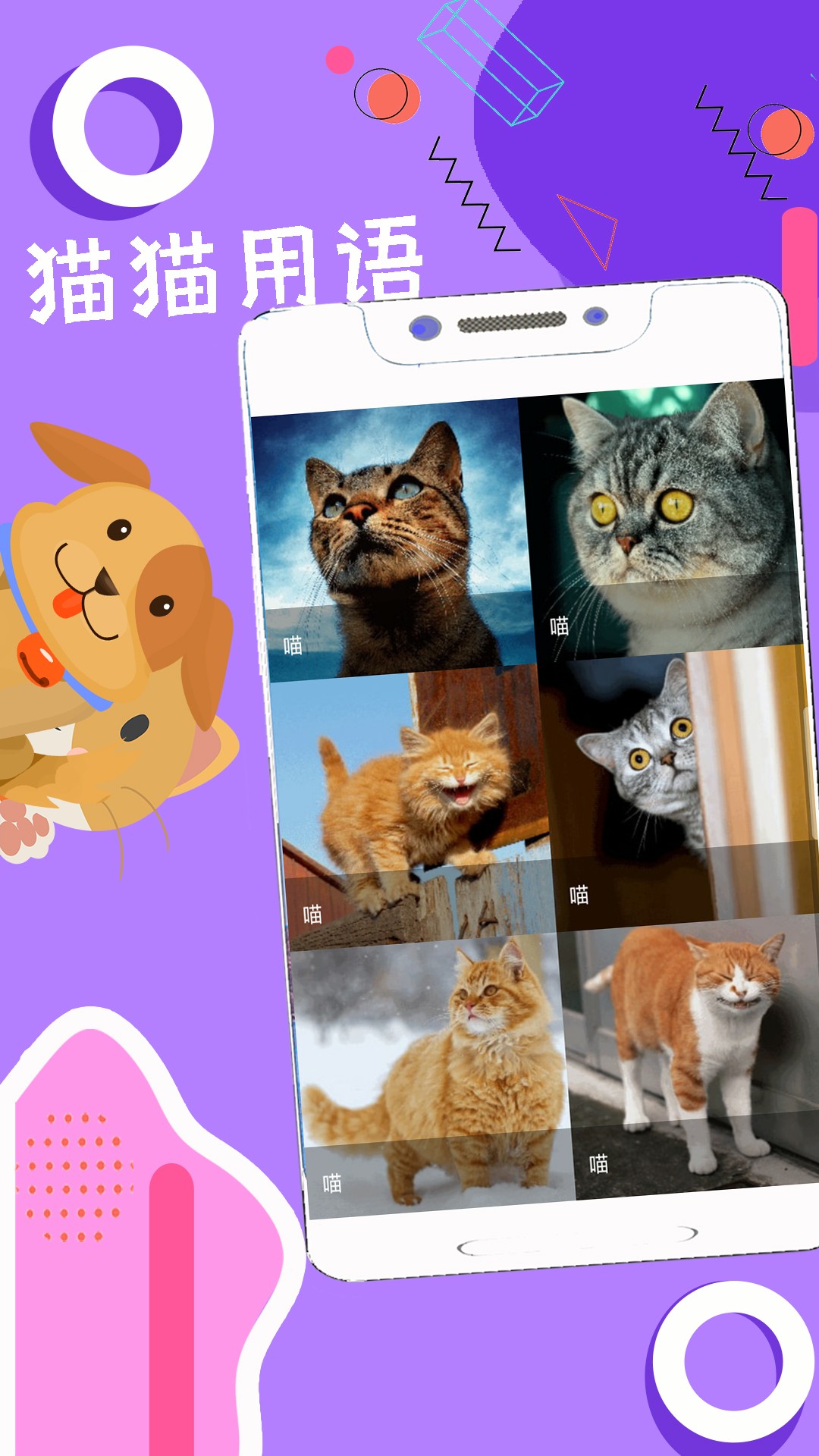 人狗猫猪翻译器截图
