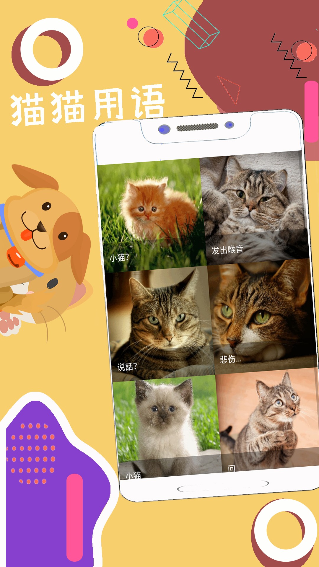 人狗猫猪翻译器截图