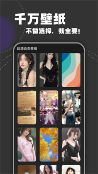 芭蕾舞壁纸截图