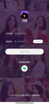 几枝截图