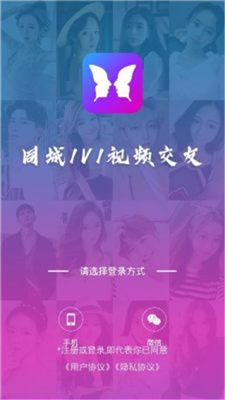 迷蝶截图