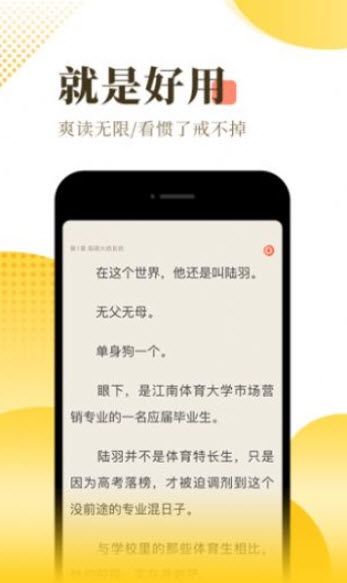 飘零小说截图