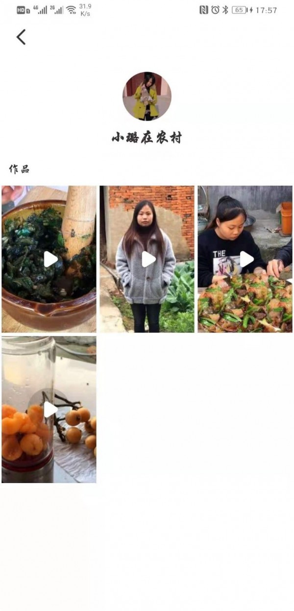 锤子视频截图