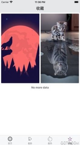 百变桌面壁纸截图
