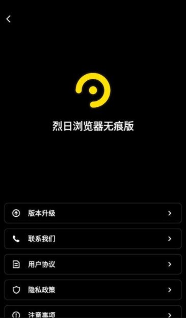 烈日浏览器截图