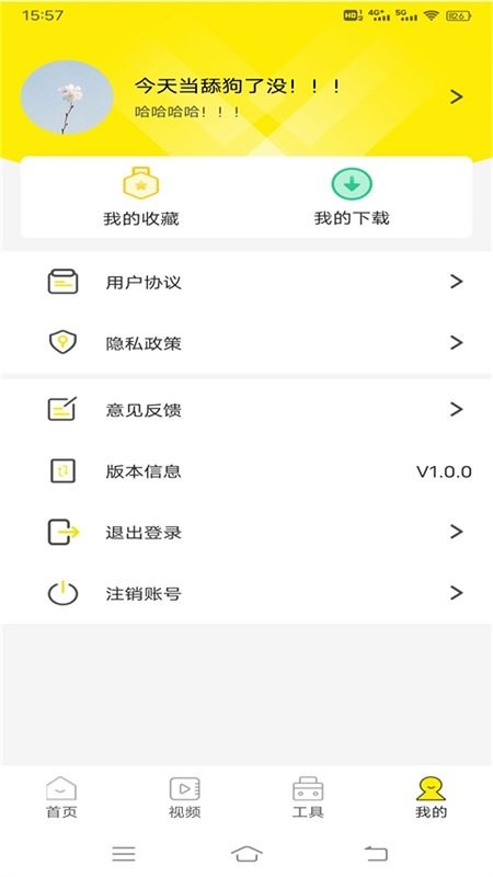 白狐视频壁纸截图