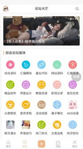桔子岛截图