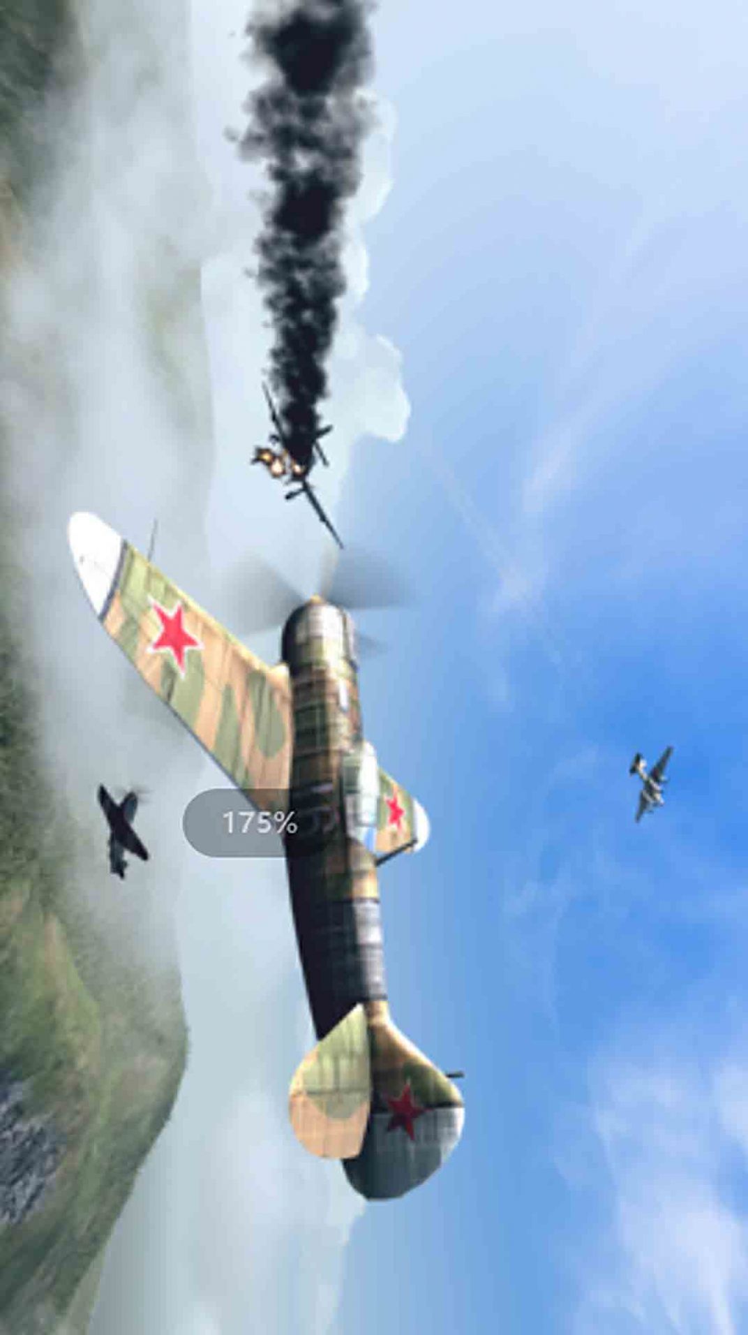 真实空中飞机截图