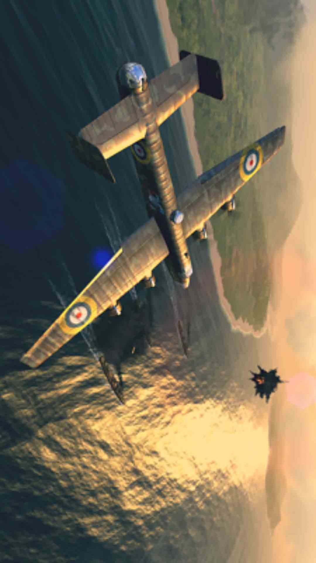 真实空中飞机截图