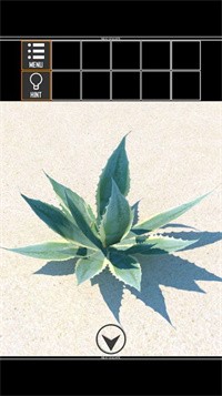 海上荒岛逃生截图