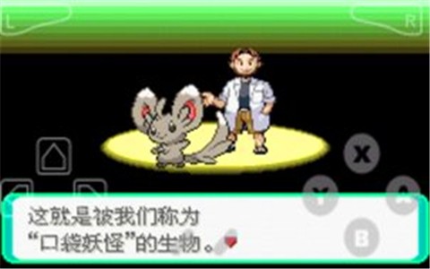 口袋妖怪漆黑的魅影xyz神兽版截图
