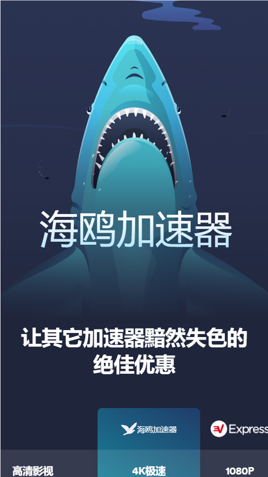 海鸥加速器截图